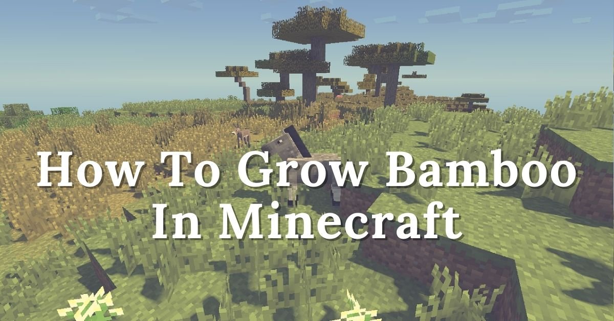How to grow bamboo in minecraft pe Explained in points